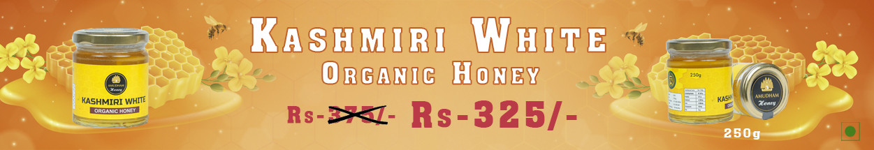 Nachiyaar Traders promo